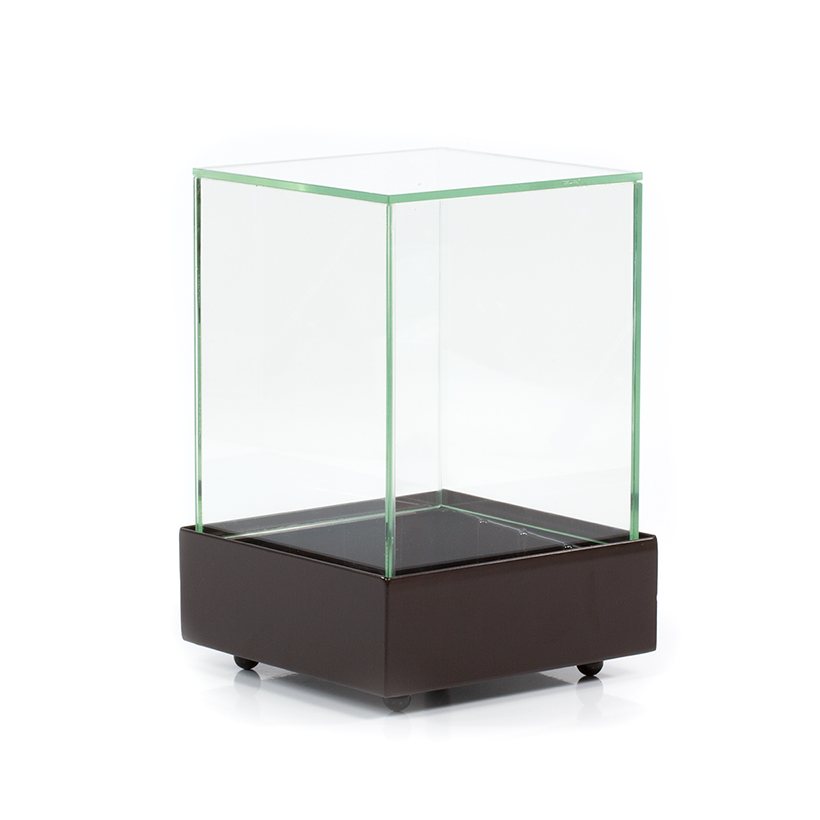 Glass Cube Terrarium in Brown Base