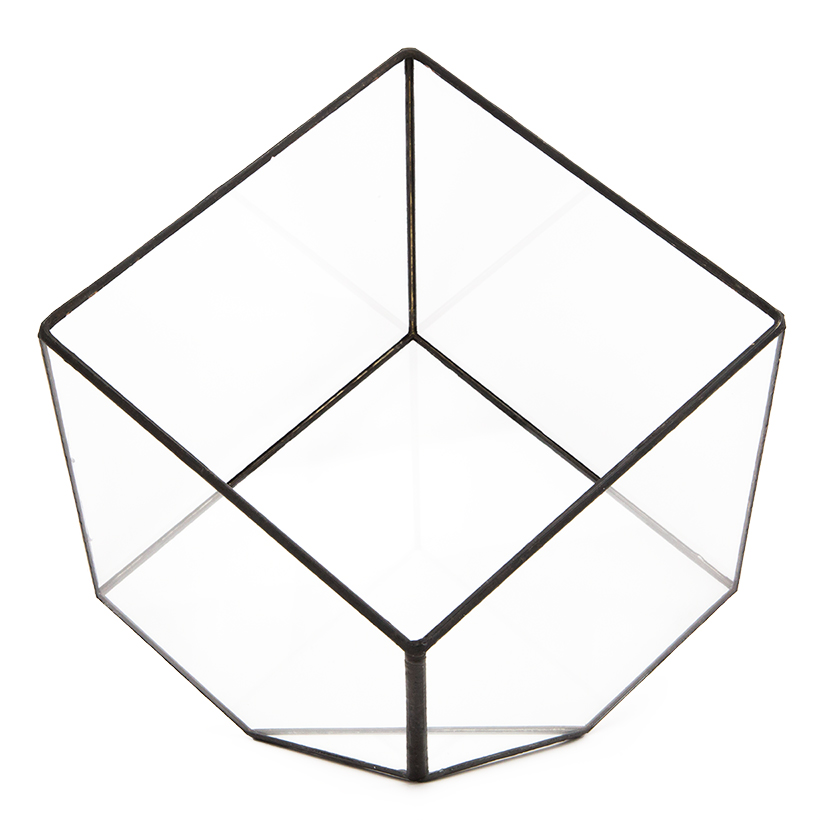 Tipped Cube Terrarium (Black, Large)