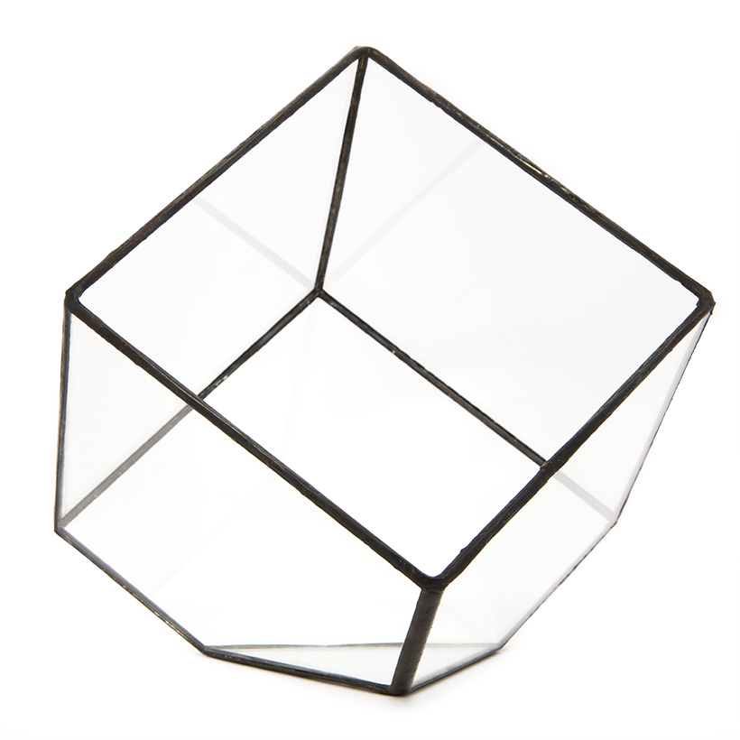 Tipped Cube Terrarium (Black, Medium)