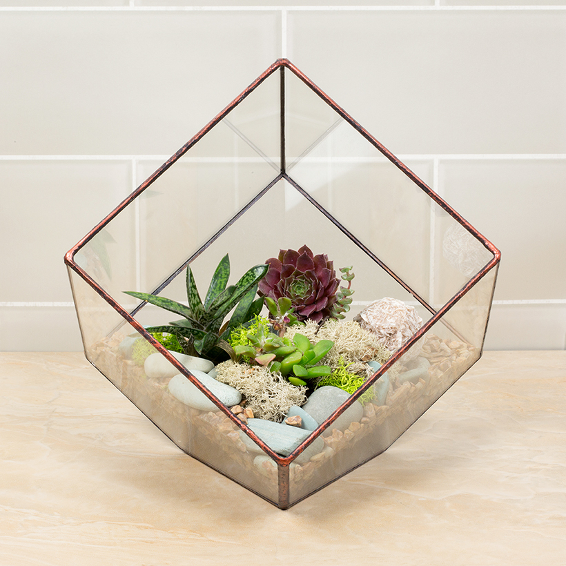 Tipped Cube Terrarium (Copper, Large)