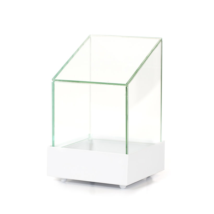 Glass Shed Terrarium in White Base