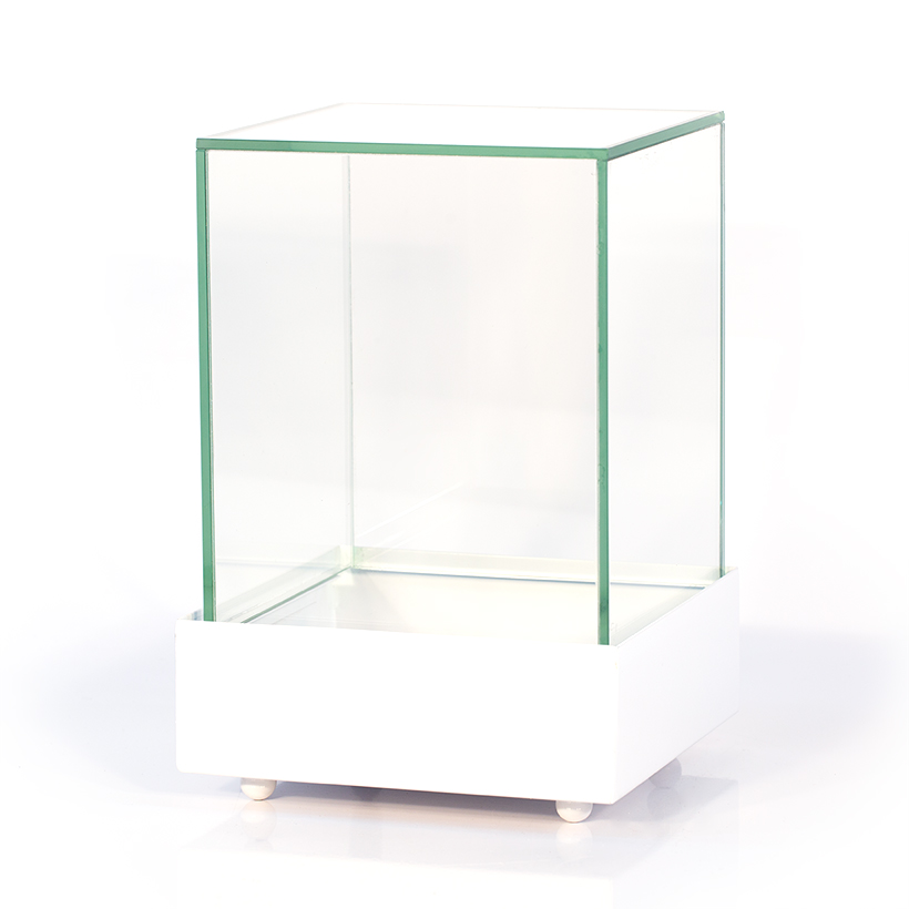 Glass Cube Terrarium in White Base