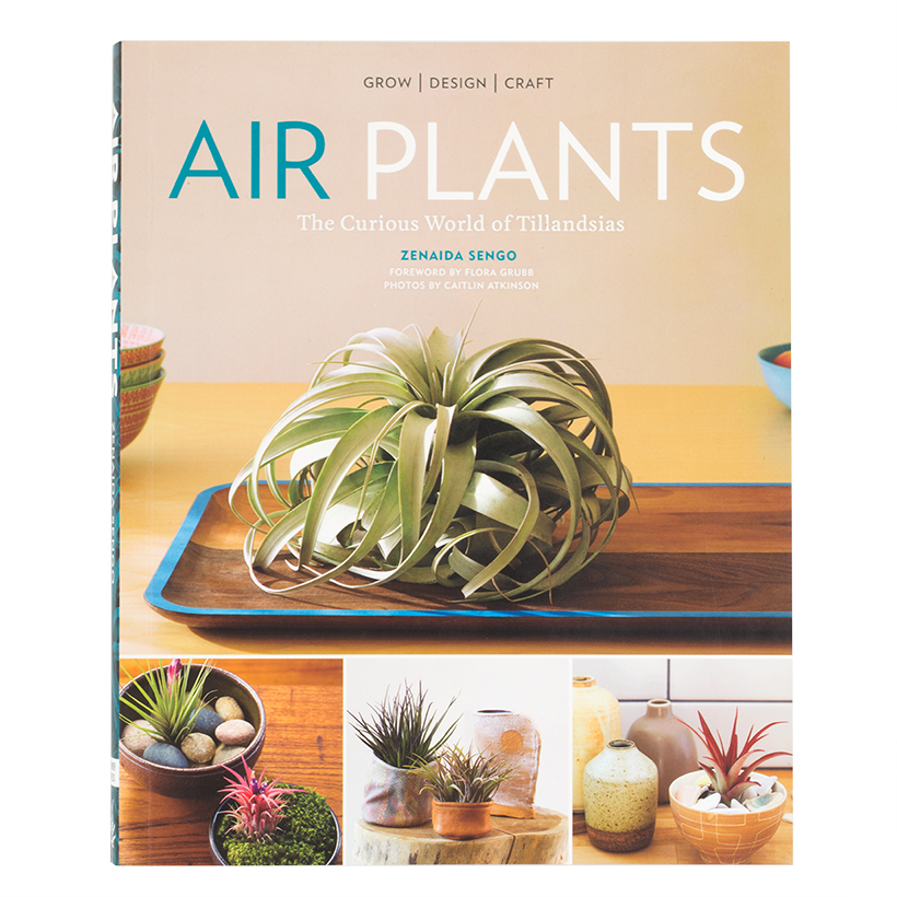 Air Plants: The Curious World of Tillandsias